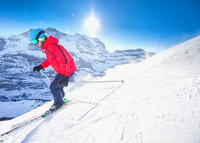 Appartement Allod Park Haus C 105 By Interhome